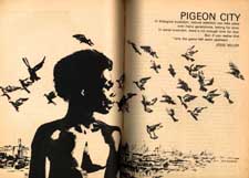 Click HERE to read Pigeon City